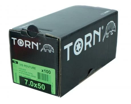 Vis Penture TORN® Acier Zingué Torx 2 Vis Penture TORN® Acier Zingué Torx – Image 2