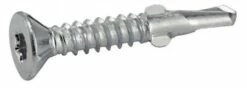 Vis Autoperceuse à Ailettes Tête Fraisée Torx Zingué