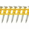 DeWALT Pointes Lisses Béton Standard Pour Cloueur DCN890